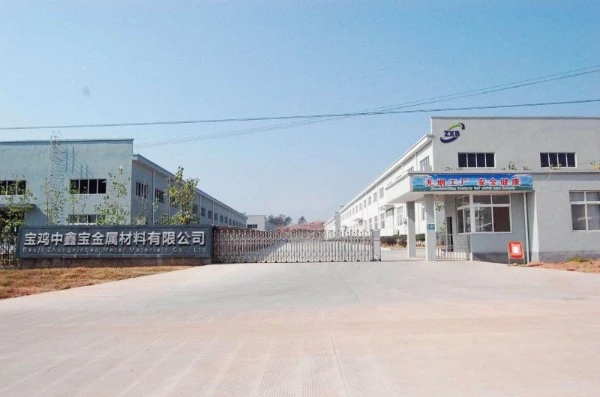 Ruthenium-Iridium Coated Titanium Anode Plate Ruthenium-Iridium Coated Titanium Anode Plate